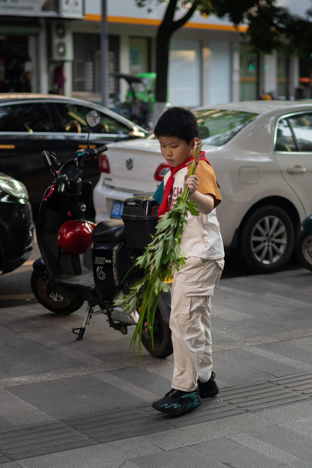 Young boy with a red scarf carrying a large bunch of greens across a sidewalk